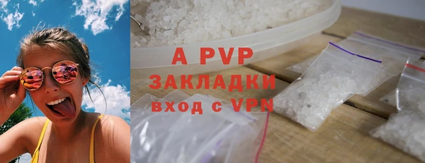 сатива Зеленокумск