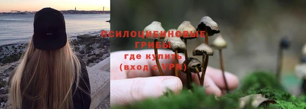 прущая мука Зеленодольск