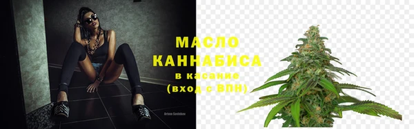 сатива Зеленокумск