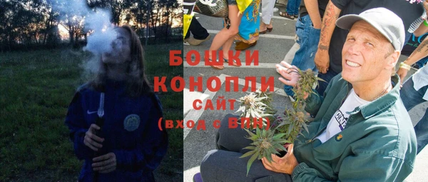 сатива Зеленокумск