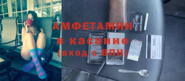 сатива Зеленокумск