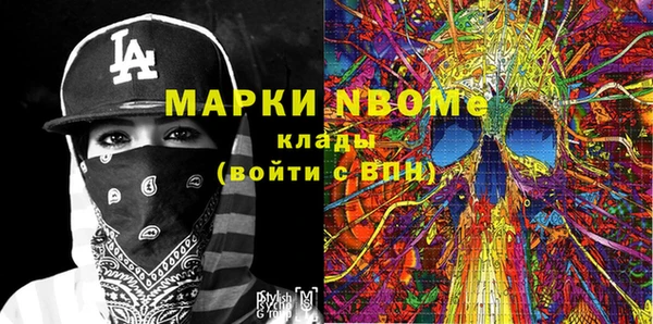 сатива Зеленокумск