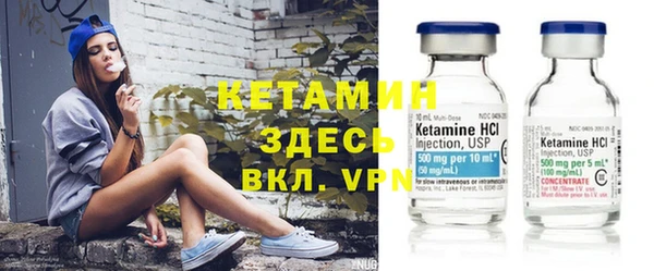 сатива Зеленокумск