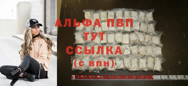 сатива Зеленокумск